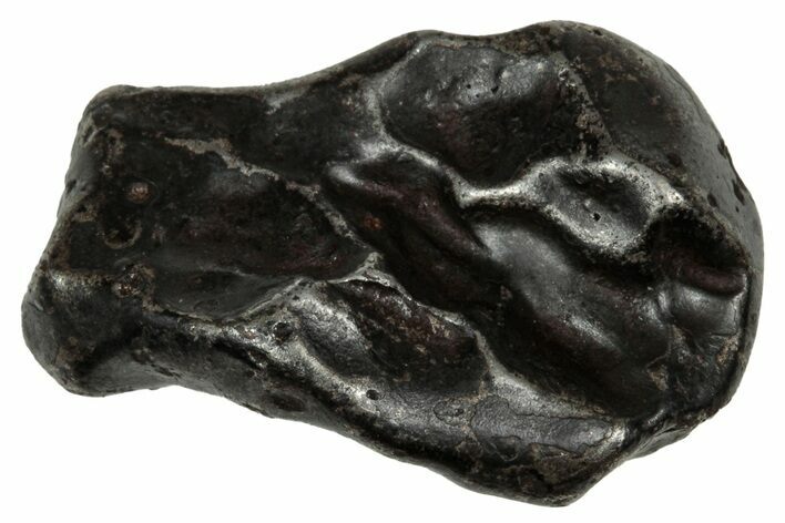 Fusion Crusted Sikhote-Alin Iron Meteorite ( g) - Russia #334536